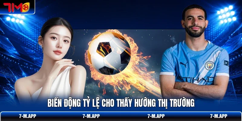 Biến động tỷ lệ cho thấy hướng thị trường
