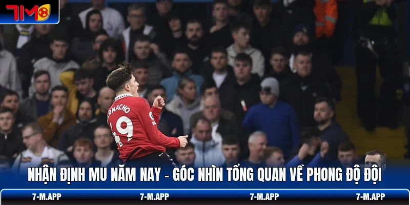 Nhận Định MU Năm Nay - Góc Nhìn Tổng Quan Về Phong Độ Đội