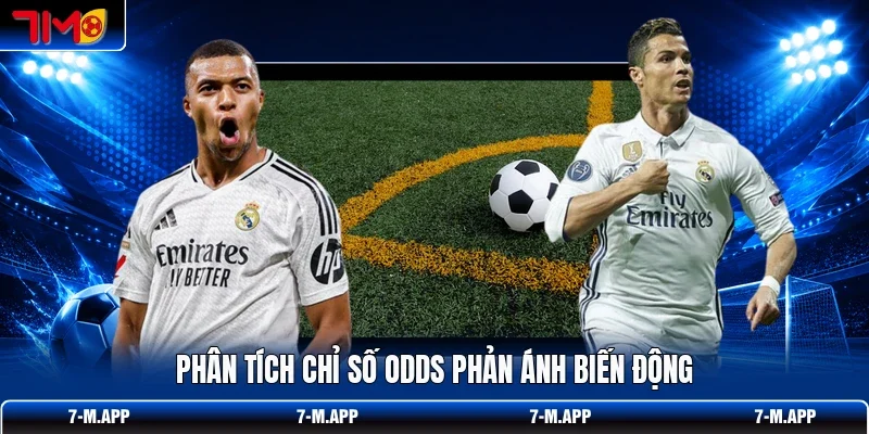 Phân tích chỉ số ODDS phản ánh biến động